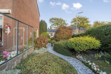 Tuin