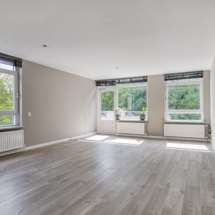Veel licht