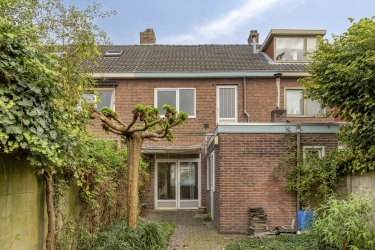 Tuin