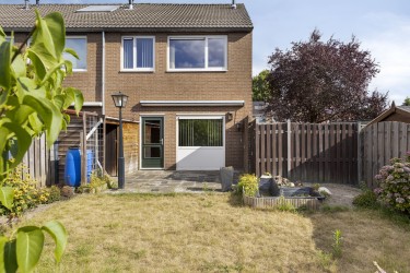 Tuin