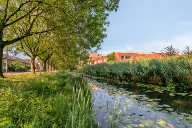 Omgeving