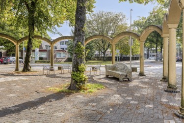 Omgeving