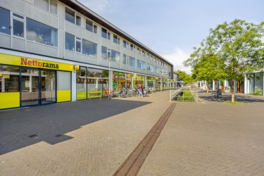 Omgeving