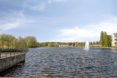 Omgeving