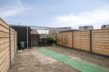 Zonnige tuin