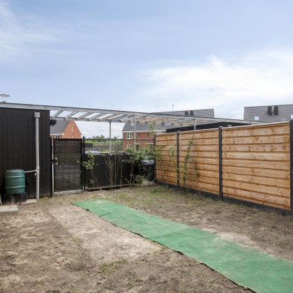 Zonnige tuin