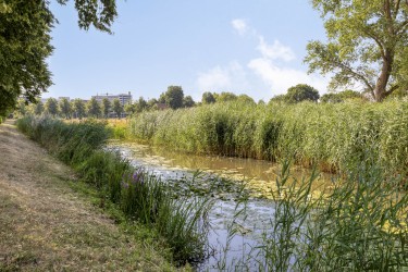 Omgeving