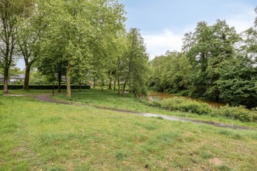 Omgeving
