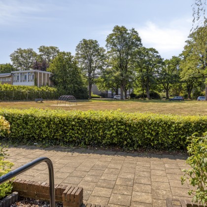 Groene omgeving