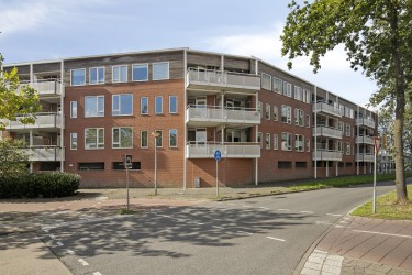 Omgeving