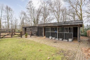 Extra foto's