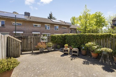 Tuin