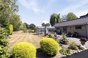 Tuin