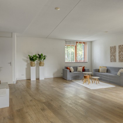 Royale woonkamer