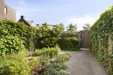 Tuin