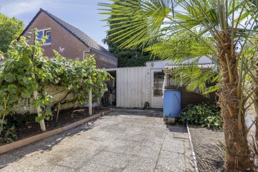 Tuin