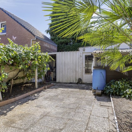 Zonnige tuin