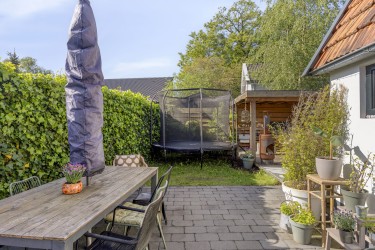 Tuin