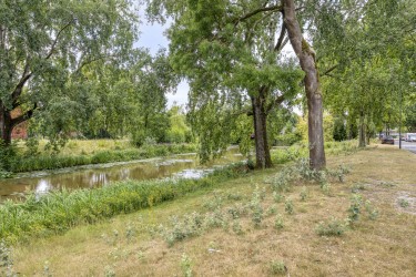 Omgeving