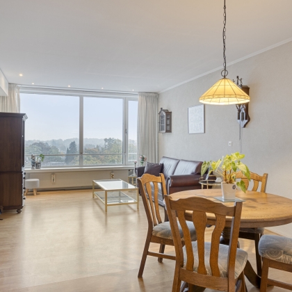 Lichte woonkamer