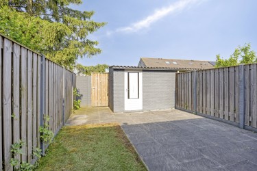 Tuin