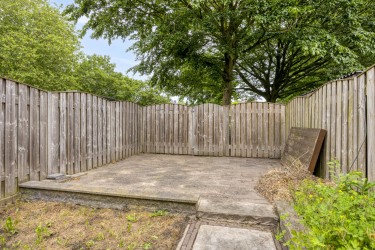 Tuin