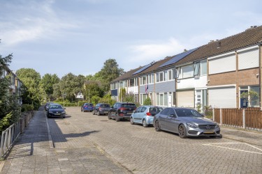 Omgeving