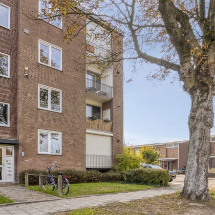 Wijk Nijmegen Nieuw West