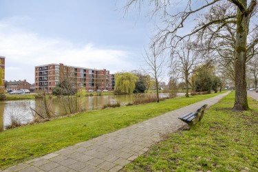 Omgeving