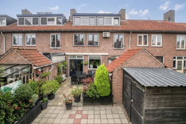 Tuin