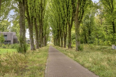 Extra foto's