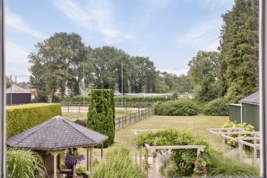 Tuin