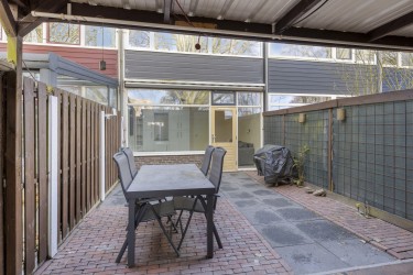 Tuin