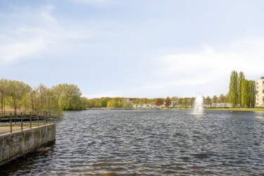 Omgeving