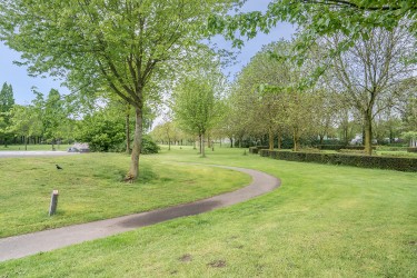 Omgeving