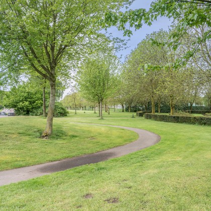 Omgeving