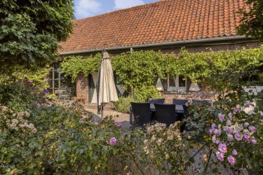 Tuin