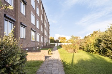 Omgeving