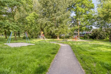 Tuin