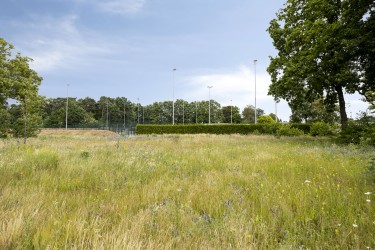 Extra foto's