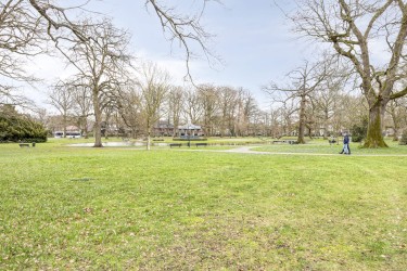 Omgeving