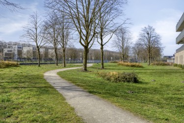 Extra foto's
