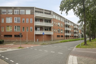Alles dichtbij