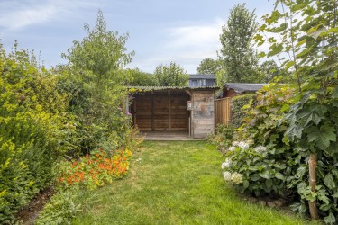 Zonnige tuin