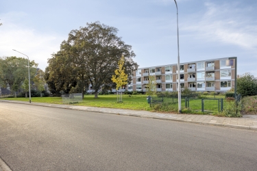 Omgeving