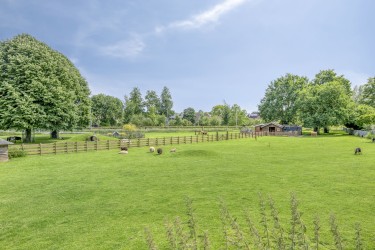 Groene omgeving