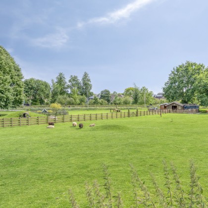 Groene omgeving