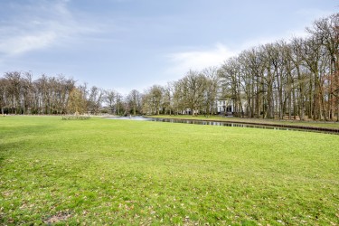 Groene omgeving