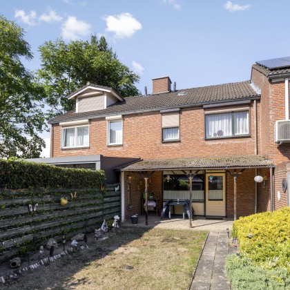 Groene tuin