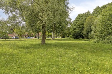 Omgeving